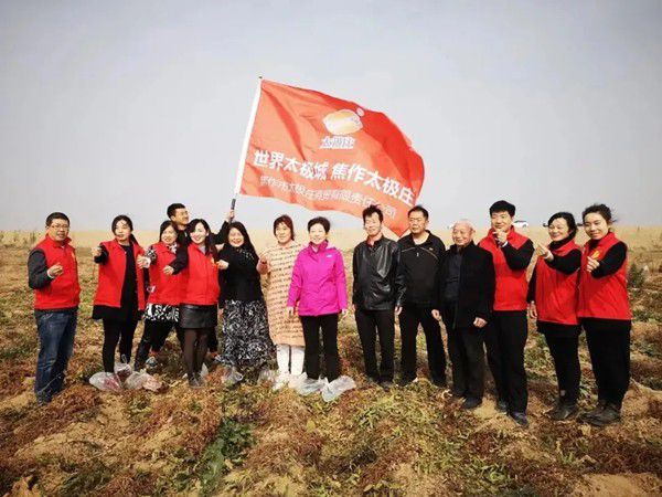 11月12日，眾人翹首以盼的太極莊山藥采挖活動在太極莊公司的溫縣·富硒鐵棍山藥標準化種植基地拉開帷幕